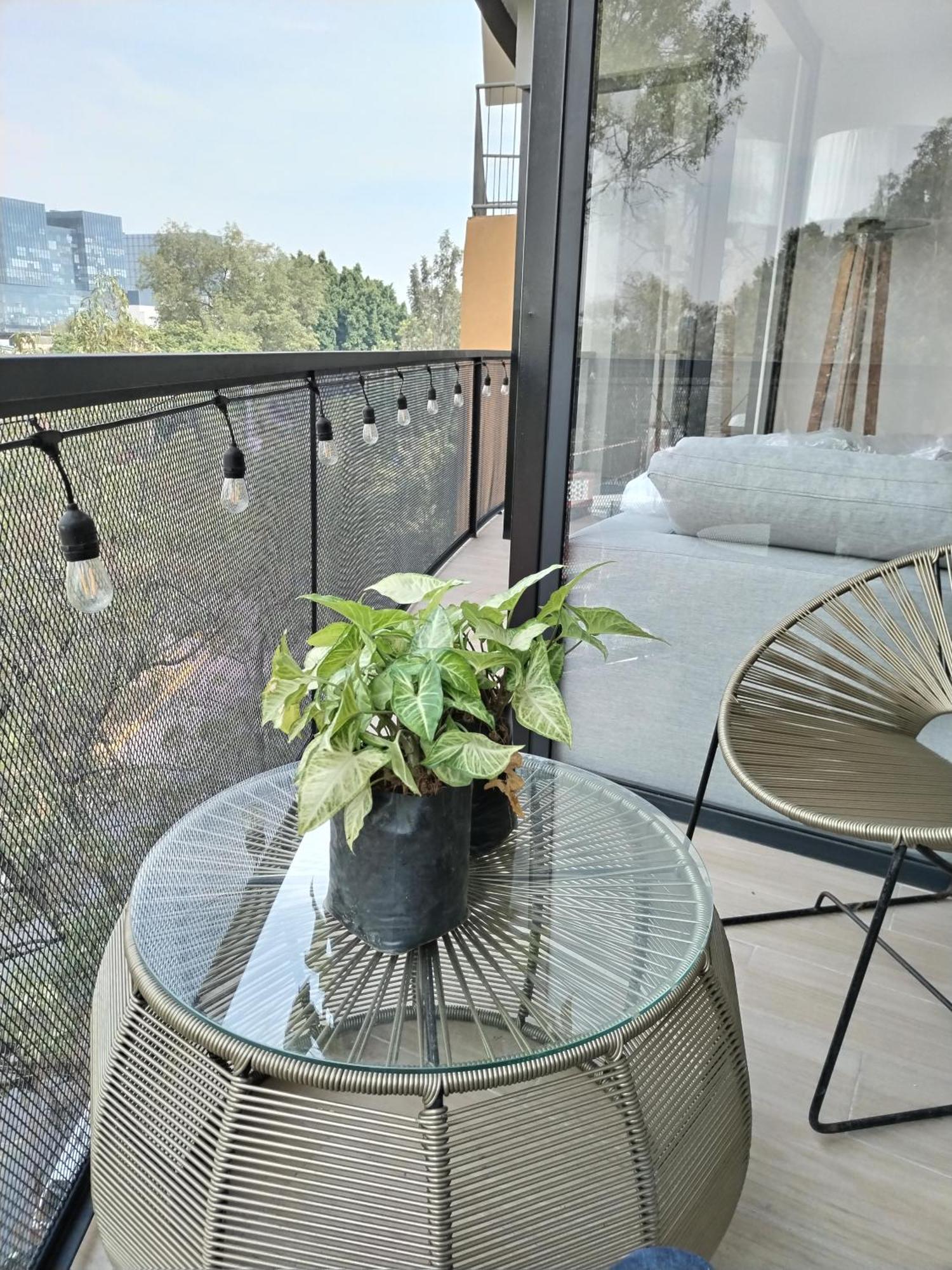 Residencial Chicle D401 Apartment Мексико Сити Екстериор снимка